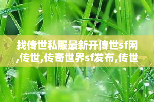 找传世私服最新开传世sf网,传世,传奇世界sf发布,传世