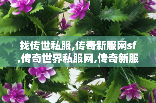 找传世私服,传奇新服网sf,传奇世界私服网,传奇新服网sf