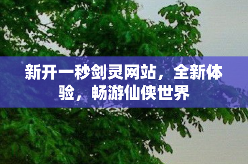 新开一秒剑灵网站，全新体验，畅游仙侠世界