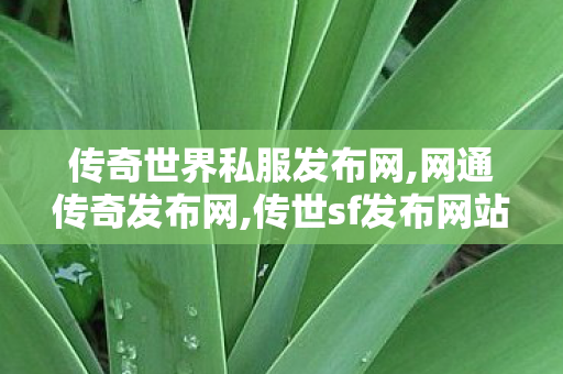 传奇世界私服发布网,网通传奇发布网,传世sf发布网站,网通传奇发布网