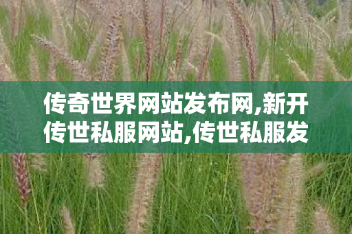 传奇世界网站发布网,新开传世私服网站,传世私服发布网,新开传世私服网站