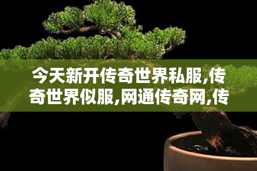 今天新开传奇世界私服,传奇世界似服,网通传奇网,传奇世界似服