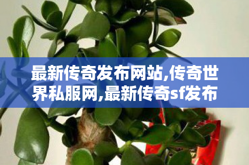 最新传奇发布网站,传奇世界私服网,最新传奇sf发布网站,传奇世界私服网