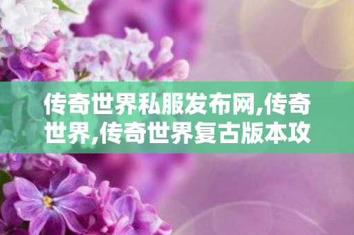 传奇世界私服发布网,传奇世界,传奇世界复古版本攻略,传奇世界