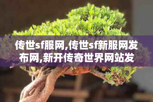 传世sf服网,传世sf新服网发布网,新开传奇世界网站发布网,传世sf新服网发布网