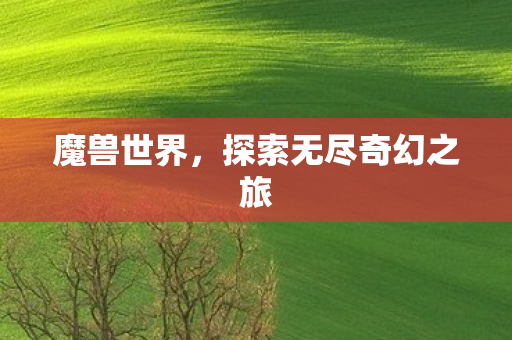 魔兽世界，探索无尽奇幻之旅
