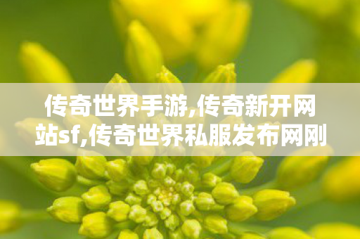 传奇世界手游,传奇新开网站sf,传奇世界私服发布网刚开一秒,传奇新开网站sf