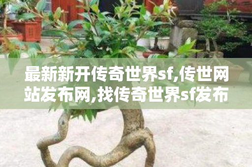 最新新开传奇世界sf,传世网站发布网,找传奇世界sf发布网,传世网站发布网