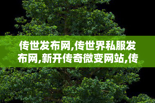 传世发布网,传世界私服发布网,新开传奇微变网站,传世界私服发布网