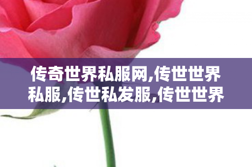 传奇世界私服网,传世世界私服,传世私发服,传世世界私服