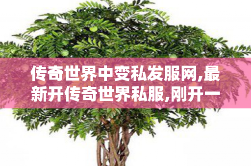 传奇世界中变私发服网,最新开传奇世界私服,刚开一秒传世,最新开传奇世界私服