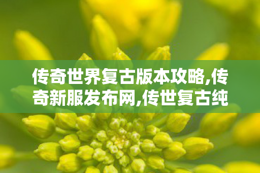 传奇世界复古版本攻略,传奇新服发布网,传世复古纯金币版,传奇新服发布网
