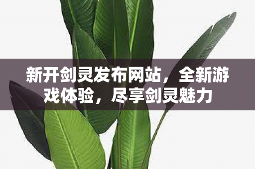 新开剑灵发布网站，全新游戏体验，尽享剑灵魅力