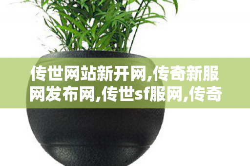 传世网站新开网,传奇新服网发布网,传世sf服网,传奇新服网发布网