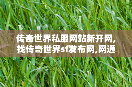 传奇世界私服网站新开网,找传奇世界sf发布网,网通传奇sf发布网,找传奇世界sf发布网
