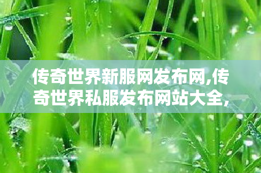 传奇世界新服网发布网,传奇世界私服发布网站大全,今日新开传奇世界网站,传奇世界私服发布网站大全