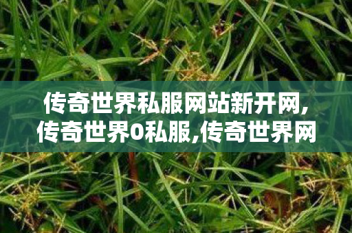 传奇世界私服网站新开网,传奇世界0私服,传奇世界网站,传奇世界0私服