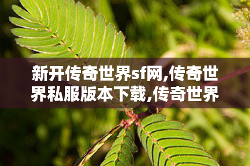 新开传奇世界sf网,传奇世界私服版本下载,传奇世界似服,传奇世界私服版本下载