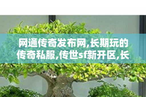 网通传奇发布网,长期玩的传奇私服,传世sf新开区,长期玩的传奇私服