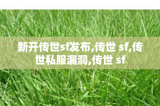 新开传世sf发布,传世 sf,传世私服漏洞,传世 sf