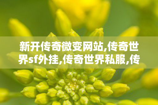 新开传奇微变网站,传奇世界sf外挂,传奇世界私服,传世sf网站,传奇世界sf外挂