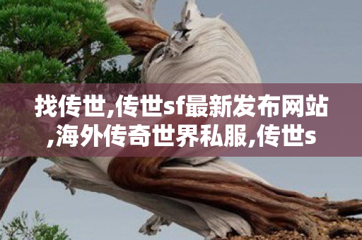 找传世,传世sf最新发布网站,海外传奇世界私服,传世sf最新发布网站