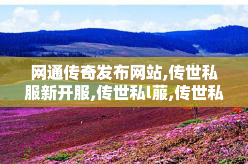 网通传奇发布网站,传世私服新开服,传世私l菔,传世私服新开服