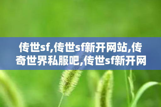 传世sf,传世sf新开网站,传奇世界私服吧,传世sf新开网站