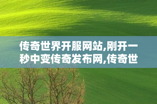 传奇世界开服网站,刚开一秒中变传奇发布网,传奇世界私服网址,刚开一秒中变传奇发布网