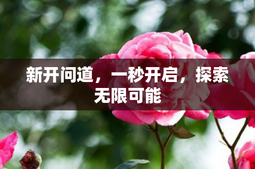 新开问道，一秒开启，探索无限可能