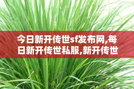 今日新开传世sf发布网,每日新开传世私服,新开传世私服,每日新开传世私服