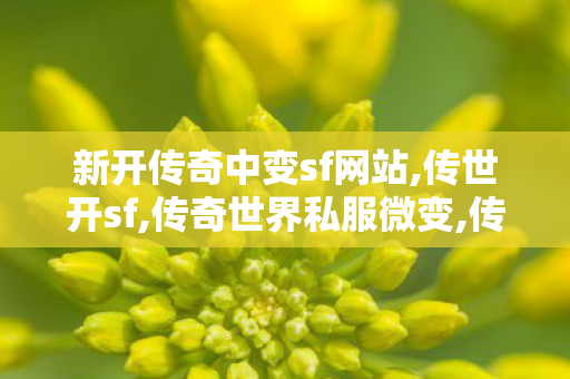 新开传奇中变sf网站,传世开sf,传奇世界私服微变,传世开sf
