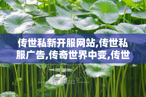 传世私新开服网站,传世私服广告,传奇世界中变,传世私服广告