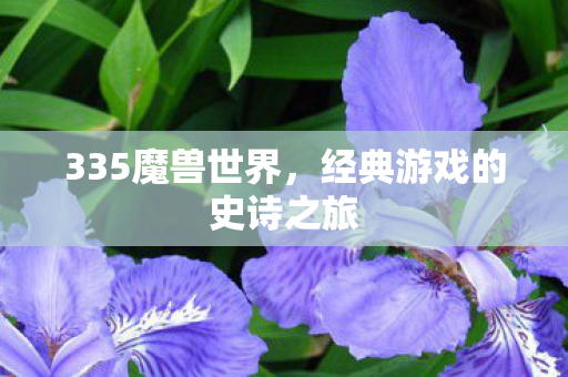 335魔兽世界，经典游戏的史诗之旅