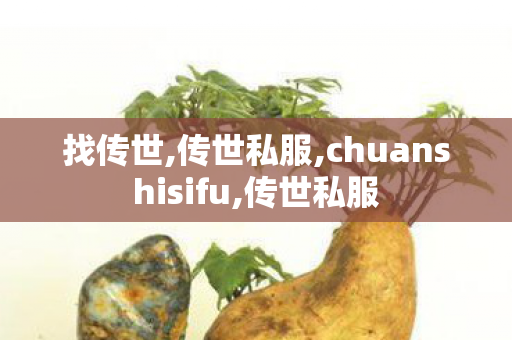 找传世,传世私服,chuanshisifu,传世私服