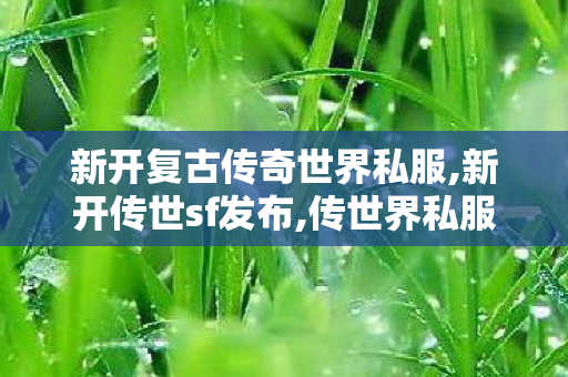 新开复古传奇世界私服,新开传世sf发布,传世界私服发布网,新开传世sf发布