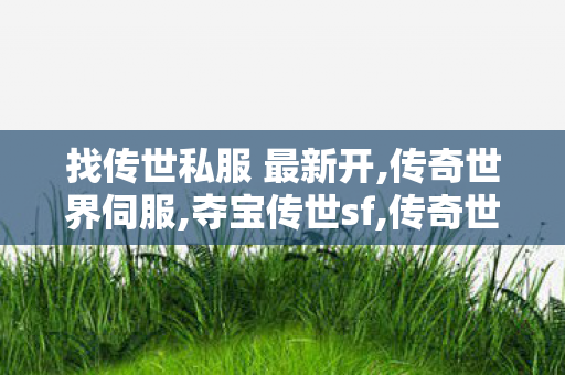 找传世私服 最新开,传奇世界伺服,夺宝传世sf,传奇世界伺服