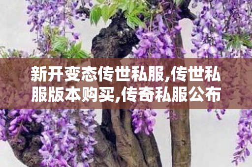 新开变态传世私服,传世私服版本购买,传奇私服公布网,传世私服版本购买