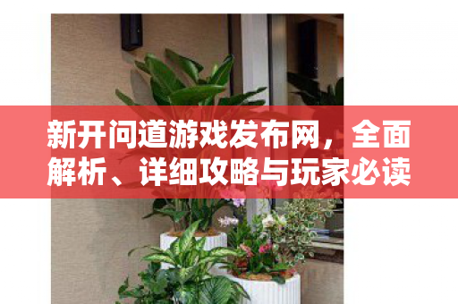 新开问道游戏发布网，全面解析、详细攻略与玩家必读指南