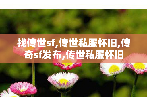 找传世sf,传世私服怀旧,传奇sf发布,传世私服怀旧