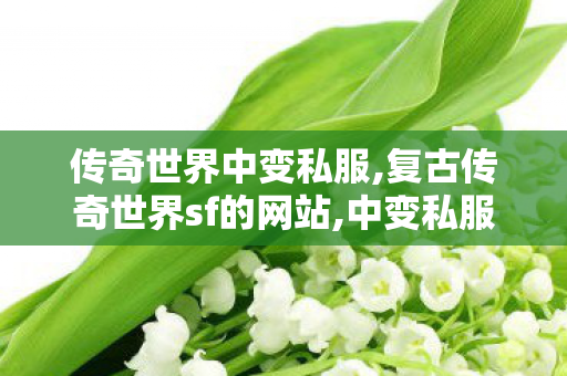 传奇世界中变私服,复古传奇世界sf的网站,中变私服发布网,复古传奇世界sf的网站