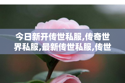 今日新开传世私服,传奇世界私服,最新传世私服,传世sf,传奇世界私服,最新传世私服