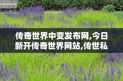 传奇世界中变发布网,今日新开传奇世界网站,传世私服发布网,今日新开传奇世界网站