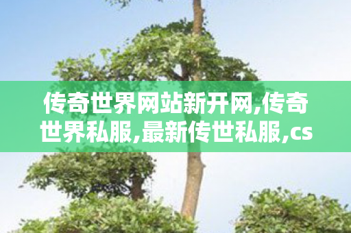 传奇世界网站新开网,传奇世界私服,最新传世私服,cs传奇世界私服,传奇世界私服,最新传世私服