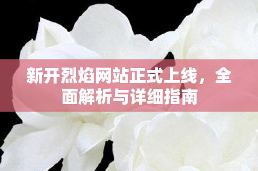 新开烈焰网站正式上线，全面解析与详细指南