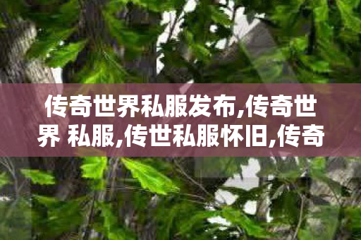 传奇世界私服发布,传奇世界 私服,传世私服怀旧,传奇世界 私服