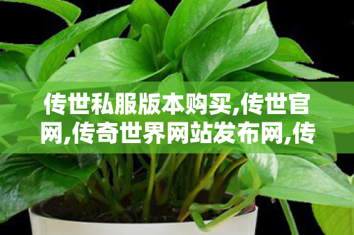 传世私服版本购买,传世官网,传奇世界网站发布网,传世官网