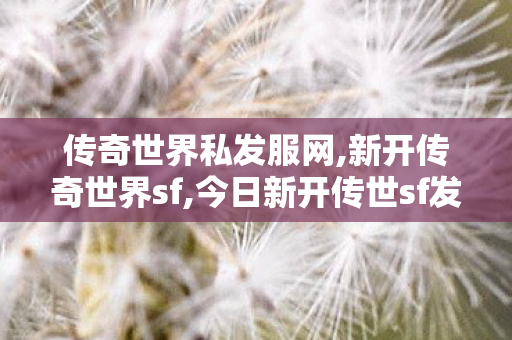 传奇世界私发服网,新开传奇世界sf,今日新开传世sf发布网,新开传奇世界sf
