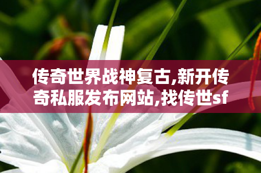 传奇世界战神复古,新开传奇私服发布网站,找传世sf网站,新开传奇私服发布网站