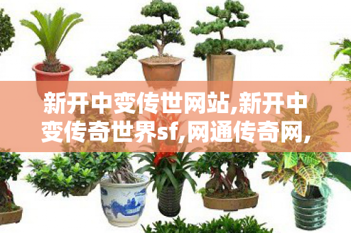 新开中变传世网站,新开中变传奇世界sf,网通传奇网,新开中变传奇世界sf